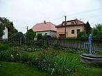 Třibřichy